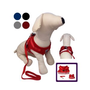 ARNES Y CORREA P/PERRO 5495-1 M 14CM RD/BL/BK/GY