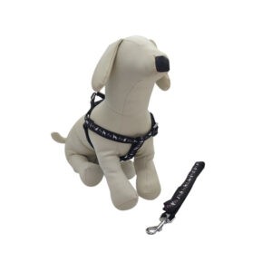 ARNES Y CORREA P/PERRO MEDIANA 2 CM ANCHO