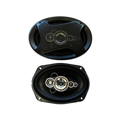 BOCINA  6X9 800 WATTS  6972