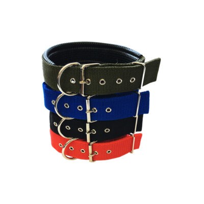 COLLAR P/MASCOTA 4X65CM 485-3 AZ/NE/ROJO/VER