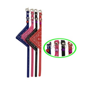 COLLAR P/MASCOTA S 1X30CM XR-04 PK BL BK RD