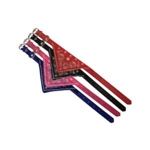 COLLAR P/MASCOTA  M 1.5X35.5CM XR-05 PK BK RD BL