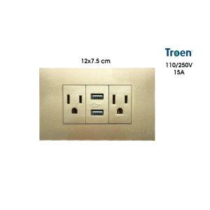 TOMACORRIENTE DOBLE DORADO C/TIERRA 2 USB TROEN