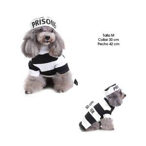 DISFRAZ  P/PERRO REO TALLA  M MQ-SDZ12