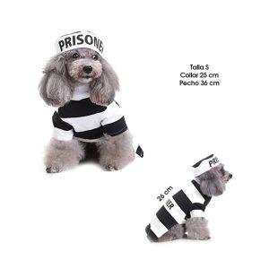 DISFRAZ  P/PERRO REO TALLA  S  MQ-SDZ12