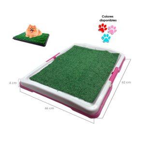 BANDEJA DE ENTRENAMIENTO PLASTICA ROSADO Y CELESTE  63X48X7CM 70-61B