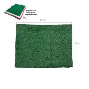 ALFOMBRA REPUESTO P/BANDEJA DE ENTRENAMIETO 54.5X38CM VERDE 70-63B