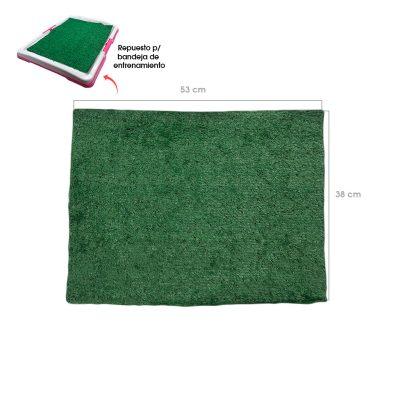 ALFOMBRA REPUESTO P/BANDEJA DE ENTRENAMIETO 54.5X38CM VERDE 70-63B