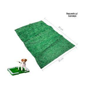 ALFOMBRA REPUESTO P/BANDEJA DE ENTRENAMIETO 25X39CM VERDE 70-63A