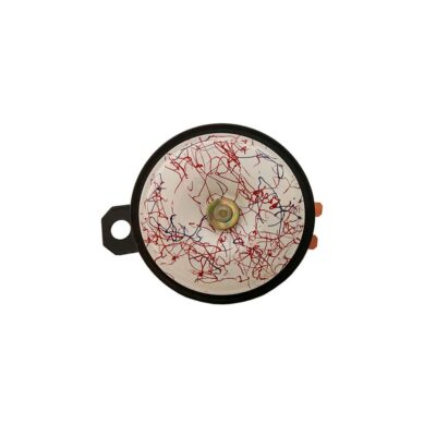BOCINA DE DISCO BLANCO HR-3141