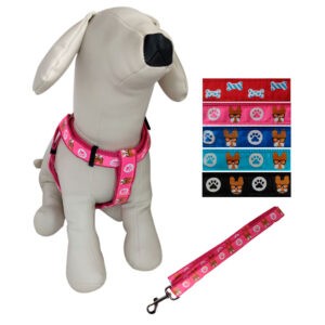 ARNES Y CORREA PARA PERRO ESTAMPADO  2.5CM ANCHO MEDIANO
