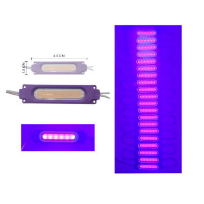 MODULO 6 LED PURPURA 7 X 2 CM