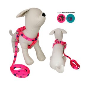 ARNES Y CORREA P/PERRO 15MM 847-9070130