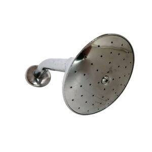 DUCHA C/BRAZO COMPLETA 8.6CM