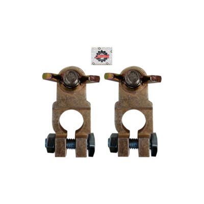 TERMINAL P/BATERIA 2 PCS ZINC CUBIERTA COBRE 95 GRS