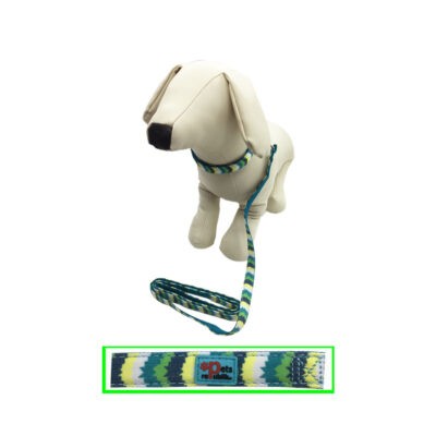 COLLAR Y CORREA  VERDE C/RAYAS  S 9-15CM 1.6-120CM
