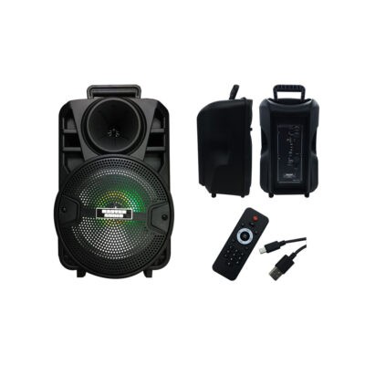 BOCINA BLUET/FM/USB/MIC/REC/15W CX08-12P 13X9PLG
