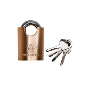 CANDADO BRONCE SECURITY HL180-50MM