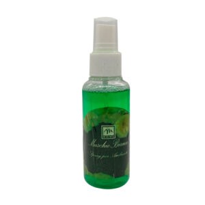 DESODORANTE AMBIENTAL HOME MUSCHIO BIANCO 4 ONZAS