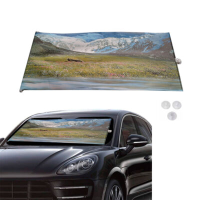 TAPASOL P/CARRO 42X100CM LR-42-4-05