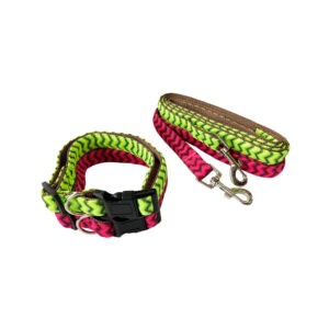 COLLAR Y CORREA P/ PERRO MEDIANO 1.9CM / BL/PK