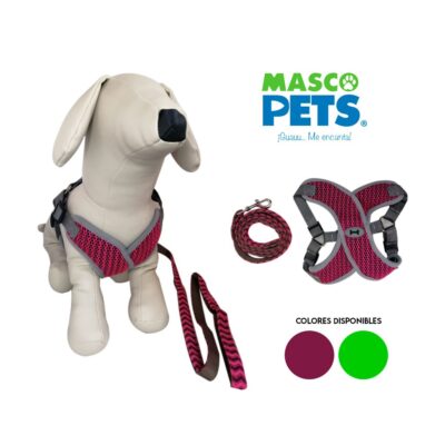 ARNES Y CORREA P/PERRO ROSADO Y VERDE MEDIUM