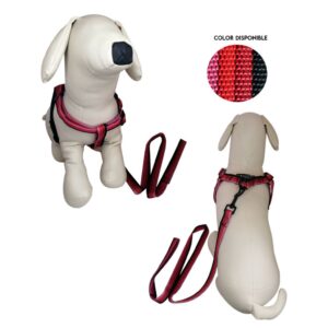 ARNES Y CORREA P/PERRO 2 CM NY2