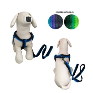 ARNES Y CORREA P/PERRO 2.50 CM NY25