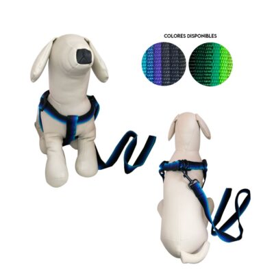 ARNES Y CORREA P/PERRO 2.50 CM NY25