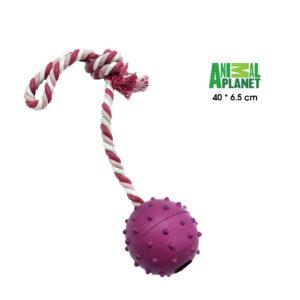 Juguete para perro lazo con bola de hule Animal Planet