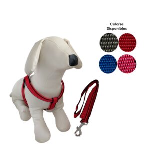 ARNES Y CORREA P/PERRO MEDIANO 2CM ANCHO REFORZADA