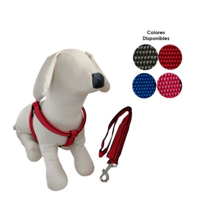 ARNES Y CORREA P/PERRO MEDIANO 2CM ANCHO REFORZADA