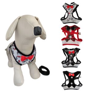 ARNES Y CORREA P/PERRO TALLA L 120128